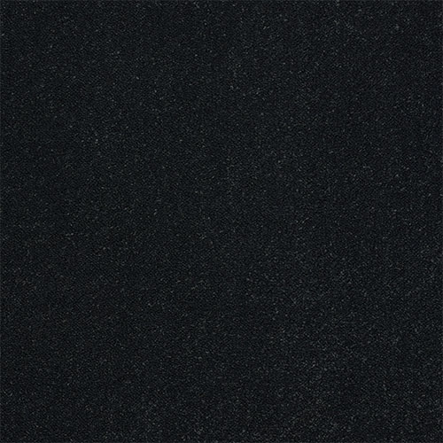 Black Raven Black Raven