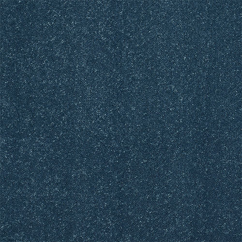 Dock Blue Dock Blue