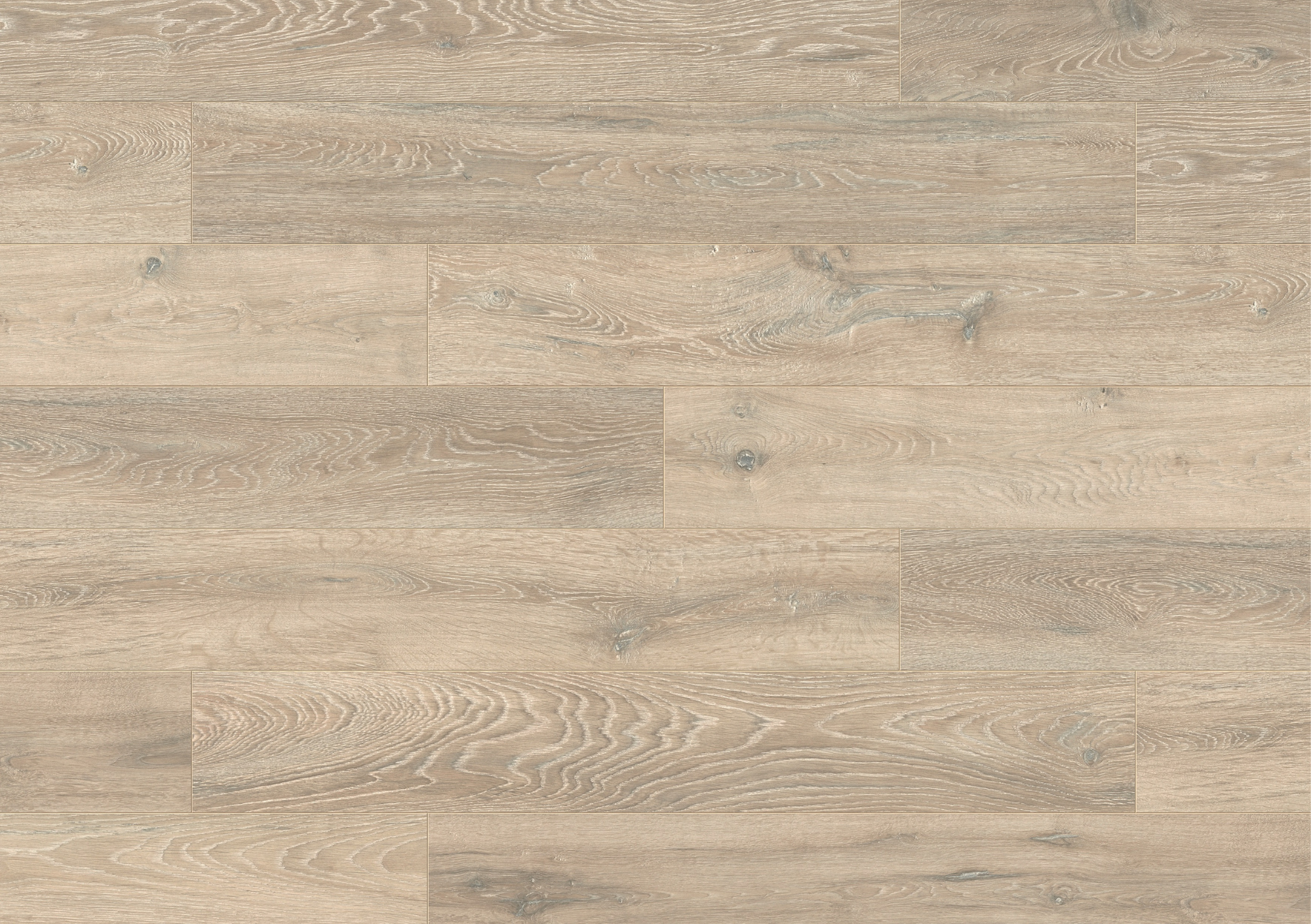 5543-Colorado-Oak-Floor-Shot-2 5543 Colorado Oak Floor Shot