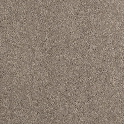 Westdale Biscuit 20×20 Main
